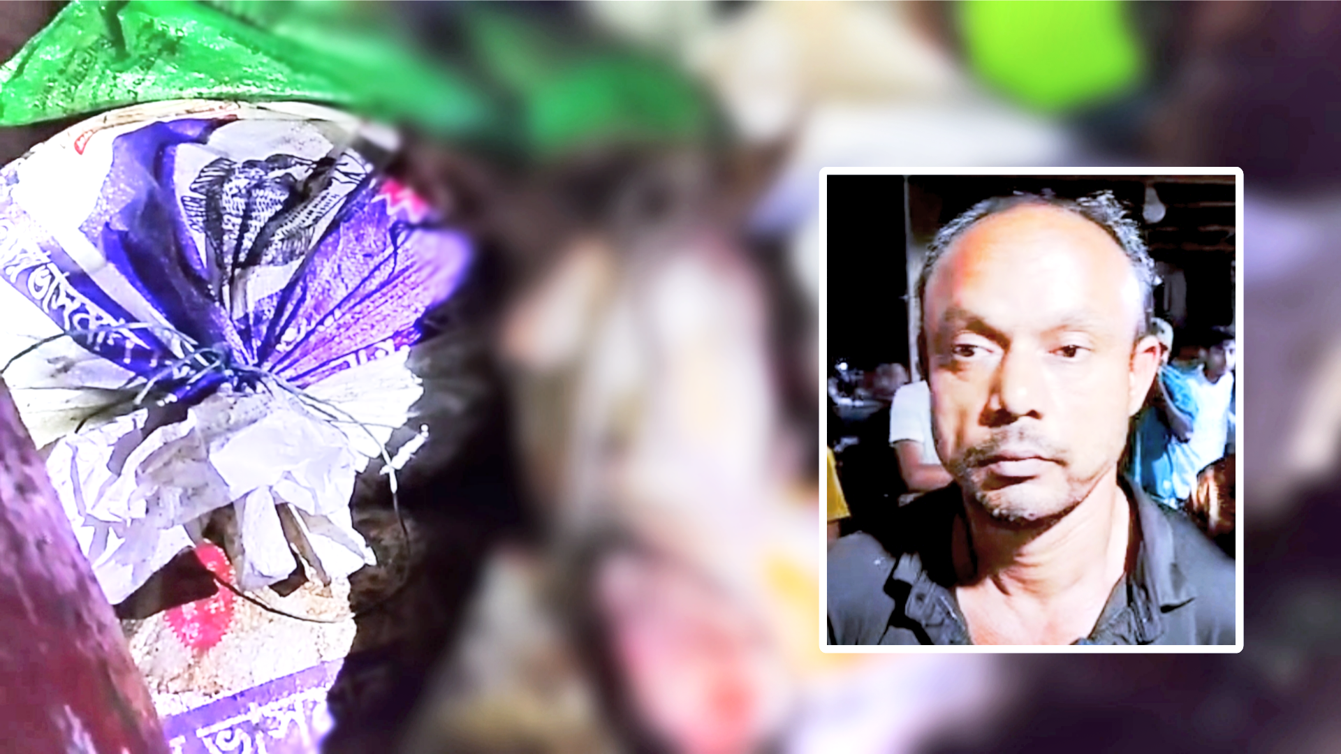 শ্রীপুরে জ.বা.ই করা ৫টি ঘোড়ার বিভিন্ন অংশ জব্দ: একজনকে ১৫ দিনের কা.রা.দ.ণ্ড