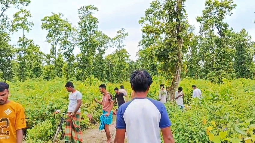 শ্রীপুরে জঙ্গলে পড়ে আছে ১২ ঘোড়ার মা.থা-হা.ড়, মাংস নিয়ে উধাও দু.র্বৃ.ত্ত.রা